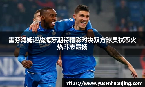 霍芬海姆迎战海牙期待精彩对决双方球员状态火热斗志昂扬