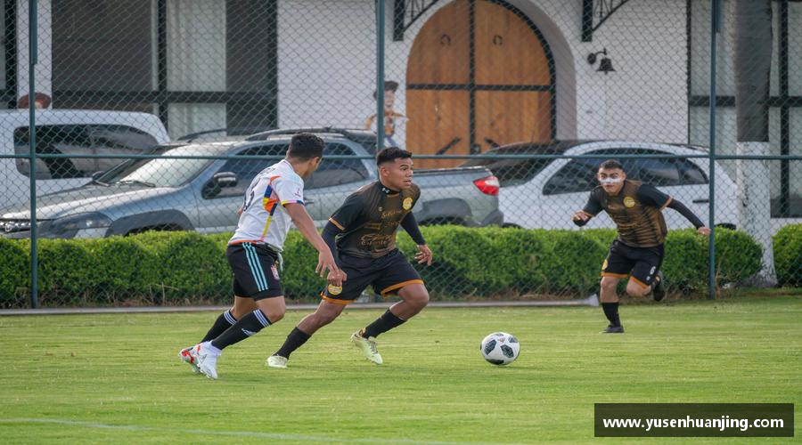 金年会|金年会·jinnian(金字招牌)诚信至上挑战自我，超越极限！